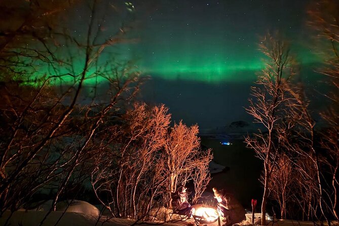 Northern Lights Tour with Hot Food and Drinks in Tromso - Is $269.24 good value?