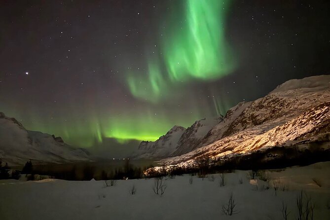 Northern Lights Tour with Hot Food and Drinks in Tromso - What the Arctic scenery adds