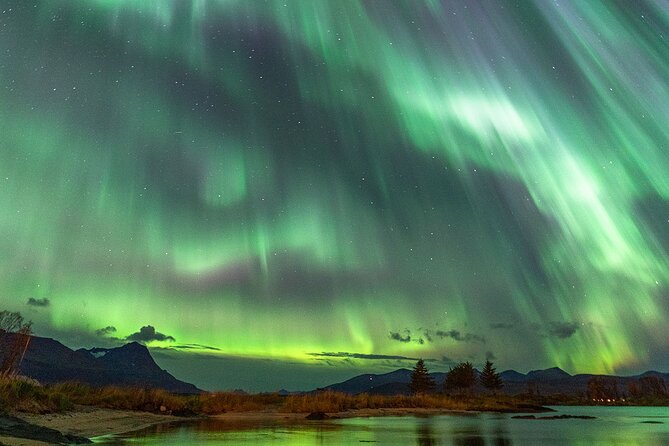 Northern Lights Tour with Local Guide and Photos - Photographing the aurora without expensive gear