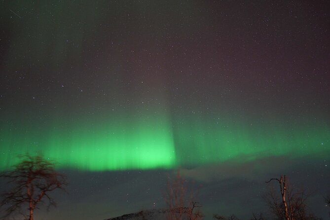 Northern Lights Tour with Local Guide and Photos - Timing the two-hour viewing stop