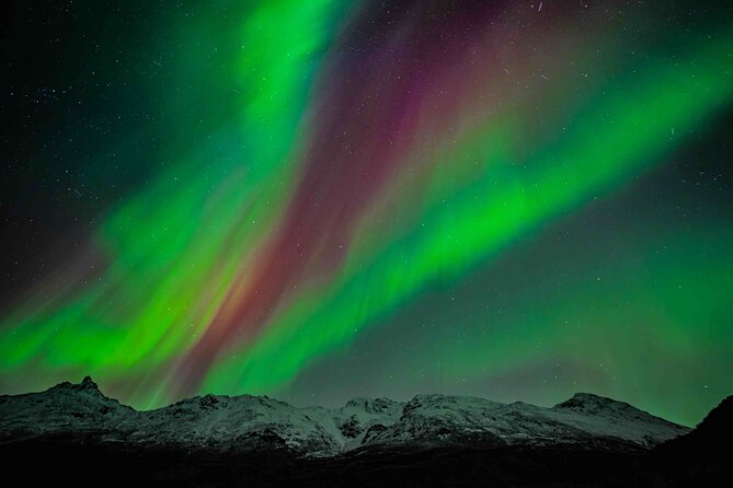 Northern Lights Tour with small group of 8 people - Key points to know before booking