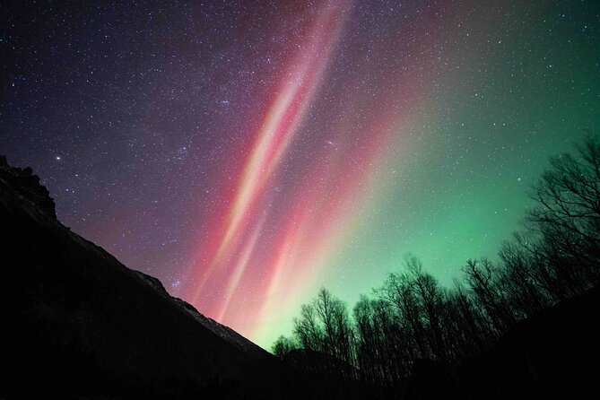 Northern Lights Tour with small group of 8 people - Why this Tromsø tour feels different from a fixed aurora stop