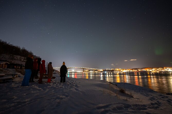 Northern Lights Tours Bodo Norway - Key points to know before you book