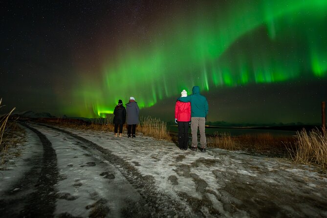 Northern Lights Tours Bodo Norway - Why Bodø works as an aurora base