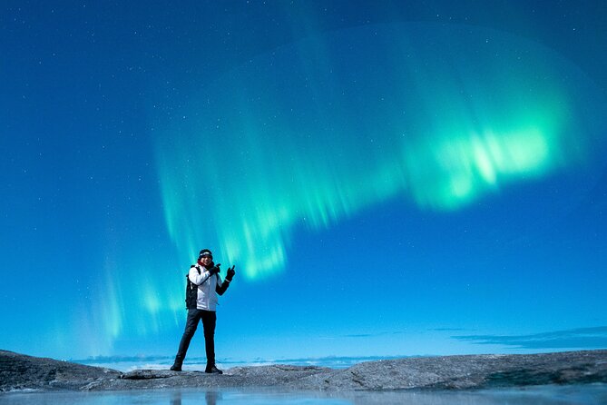 Northern Lights Tours Bodo Norway - A comfortable van with more than one viewing option