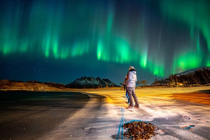 Northern Lights Tours Bodo Norway - What a successful night can look like