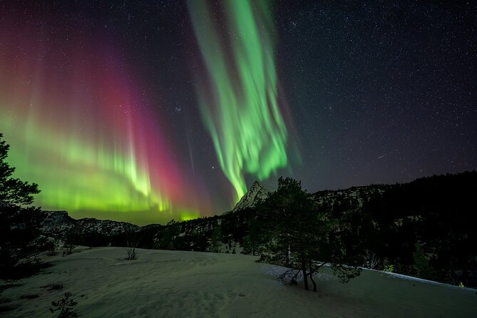 Northern Lights Tours Bodo Norway - Is $223.73 a fair price?