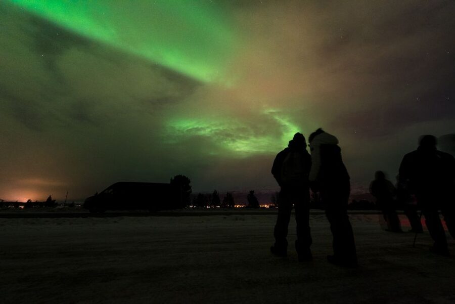 Northern lights Tromsø - small group tour with local guide - Key Points Before You Book