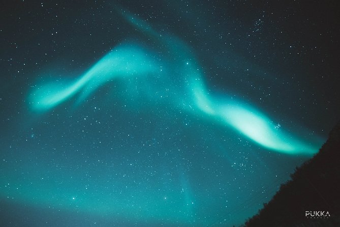 Northern Lights x Mini Bus Chase - The real value of $187.81