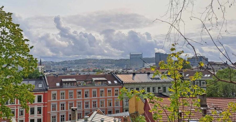 Norwegian Food Tour & Hidden Gems of Oslo - Why this Oslo tour feels different