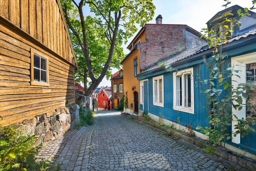 Norwegian Food Tour & Hidden Gems of Oslo - Starting at Jernbanetorget and the tiger statue