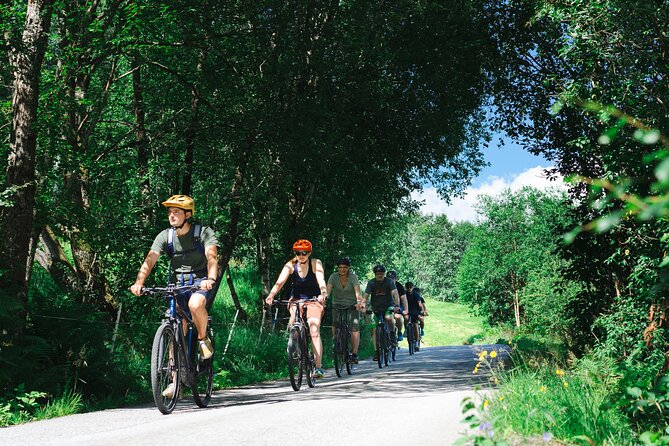 Olden: Fjord e-bike tour - Five details that make this Olden ride worth considering