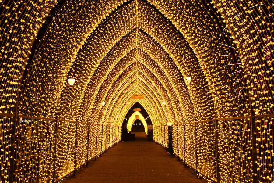 Oslo: 2-hour Christmas Private Walking Tour - Oslo City Hall and the National Theatre