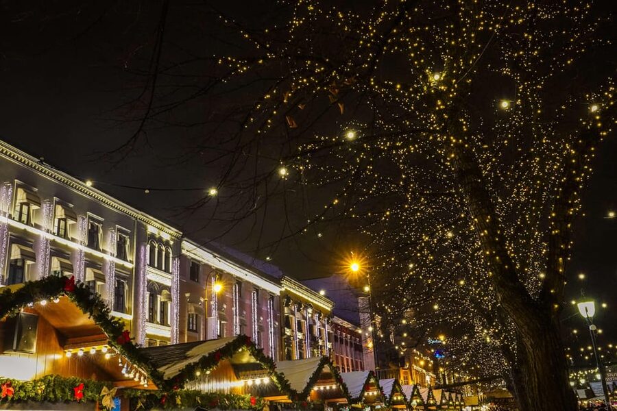 Oslo: 2-hour Christmas Private Walking Tour - Finishing at the Royal Palace in winter