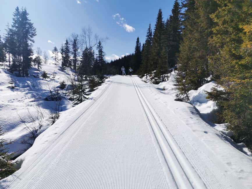 Oslo: 3-hour Cross Country trip with equipment and guide - The first lesson: learning the classic cross-country rhythm