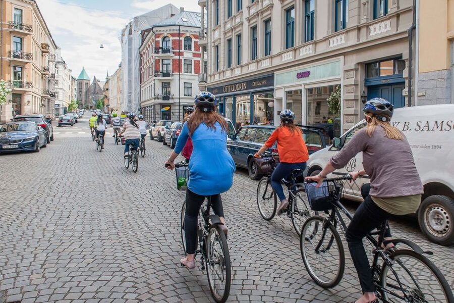 Oslo: 3-Hour Highlights Bike Tour - Guides, pace, and the human side of the tour