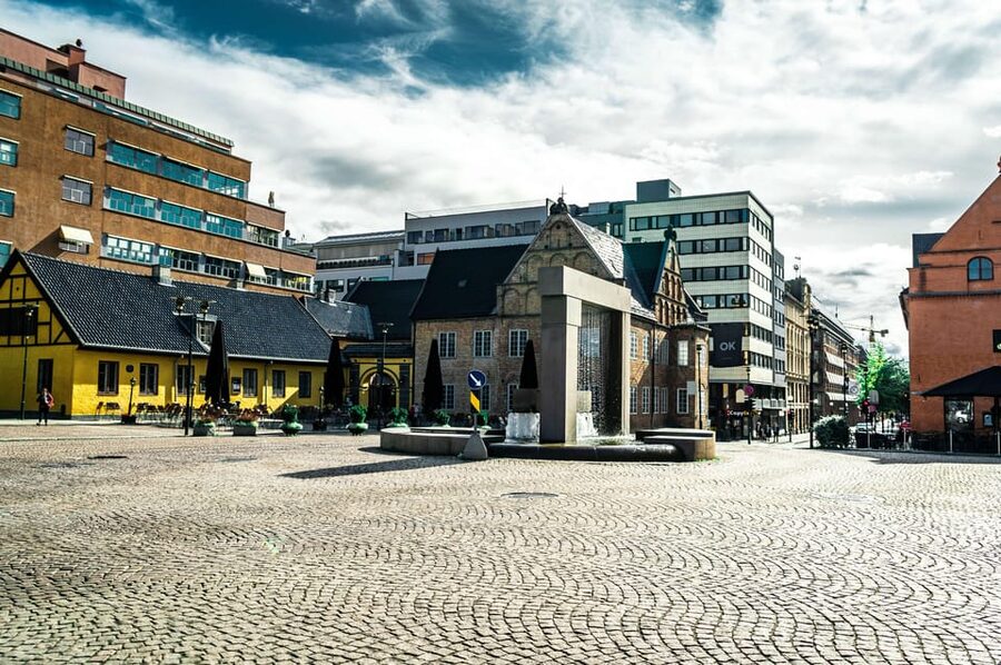 Oslo: 3-hour Highlights & Vigeland Park Private Walking Tour - The 30-minute ride to Frogner Park