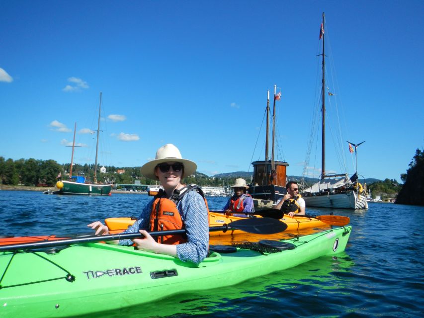 Oslo: 3-hour Kayaking Trip on the Oslofjord - Practical limits you should take seriously