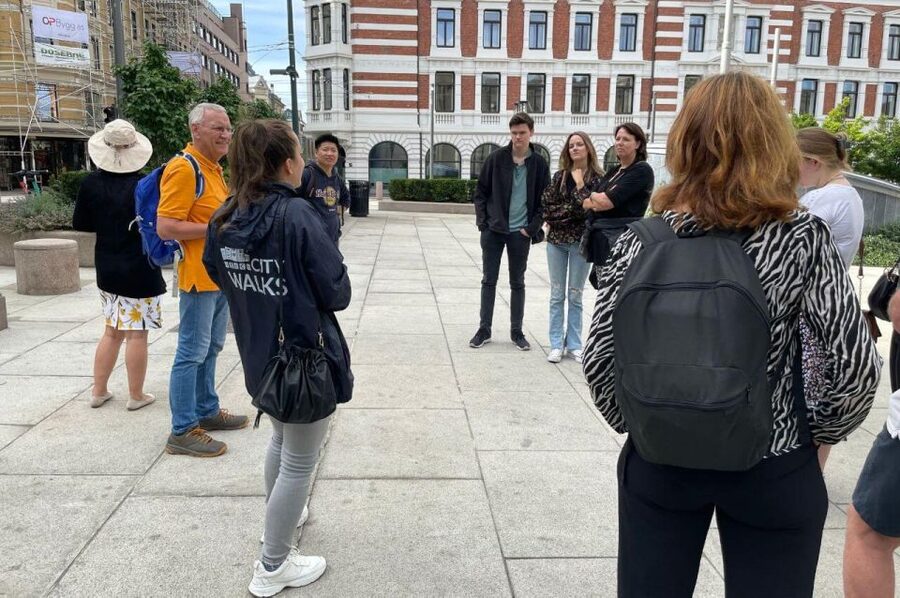 Oslo: Best of Oslo Walking Tour - Weather, footwear, and mobility
