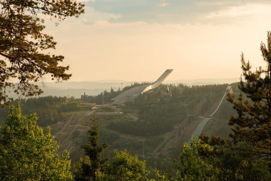 Oslo: Best View of the Oslofjord Hike - Walking through Oslo’s Nordic forest