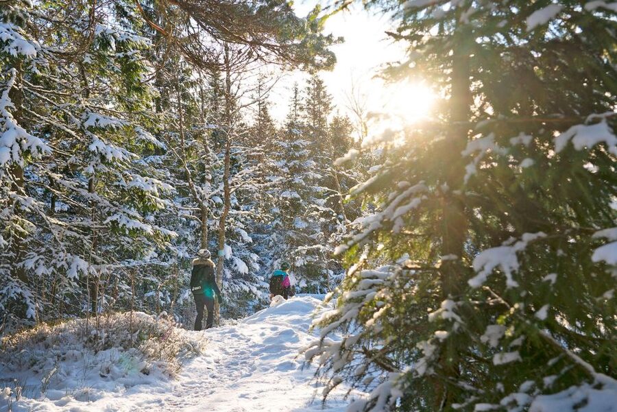 Oslo: Best View of the Oslofjord Winter Edition - What the guides add to the outing