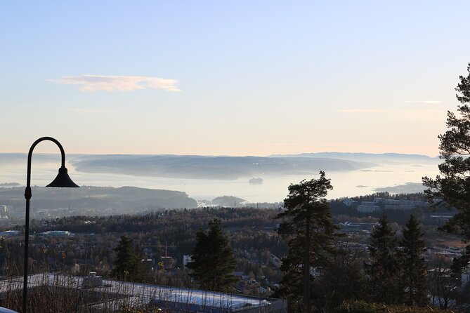 Oslo City Highlights with Fjord Cruise - What the $123.73 price really covers