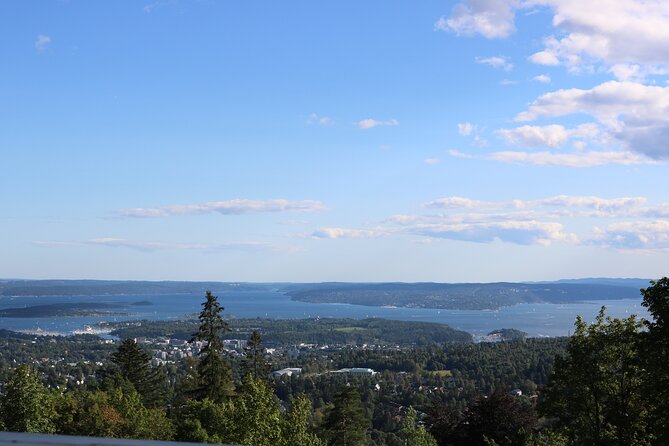 Oslo City Highlights with Fjord Cruise - Who will enjoy this Oslo tour most