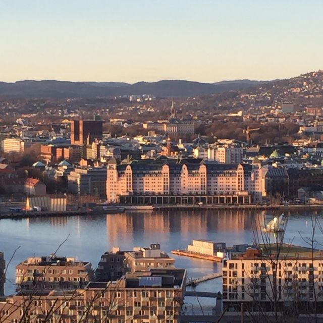 Oslo: City Walking Tour - Parliament and Oslo’s main street