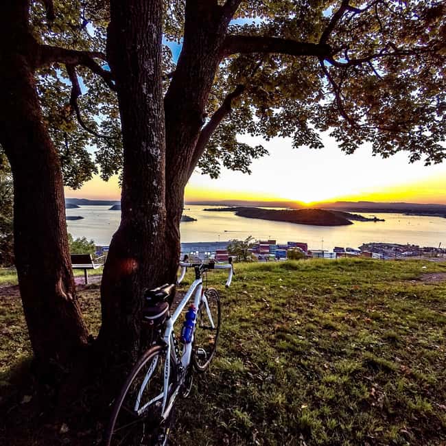 Oslo El-Bike Panorama Tour - Vigeland Park, Oslo’s grand outdoor art stop