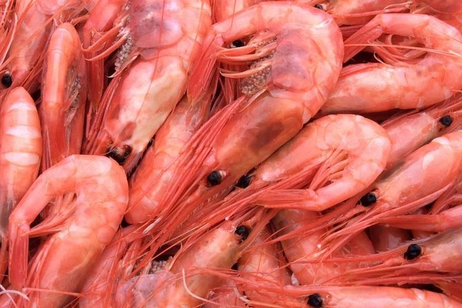Oslo Fjord Evening Cruise with Shrimp Buffet on a Sailing Ship - Who will enjoy this Oslofjord cruise?
