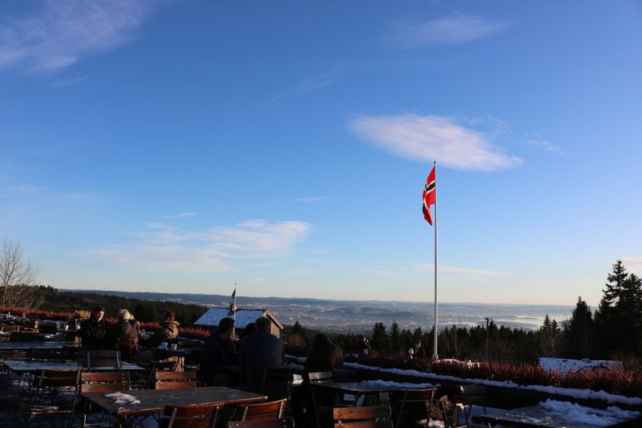 Oslo: Guided Oslo Highlights Tour by bus & Oslofjord cruise - The Oslofjord cruise: pretty, calm, and easy to misunderstand