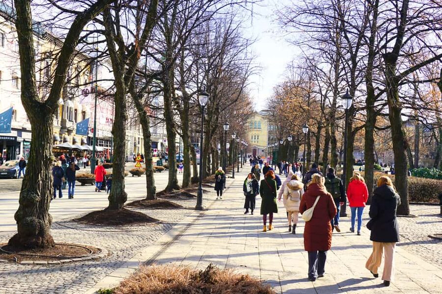 Oslo: History, Art and Secrets Tour - The guides make the difference