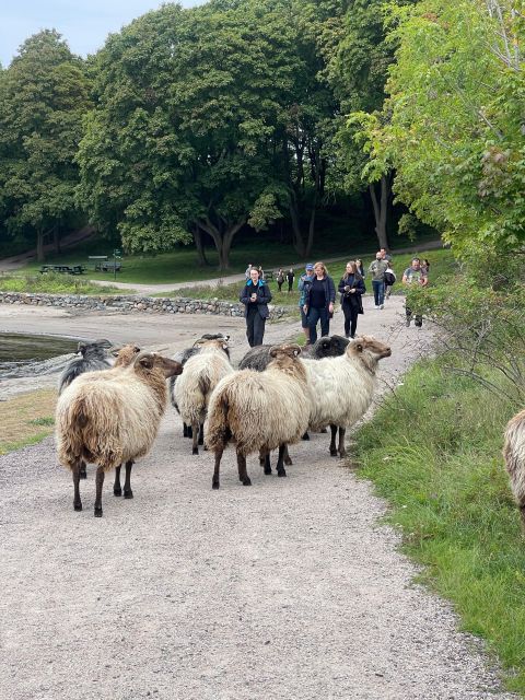 Oslo Island Walks: Island Hopping Tour - Meeting at Aker Brygge and boarding the ferry