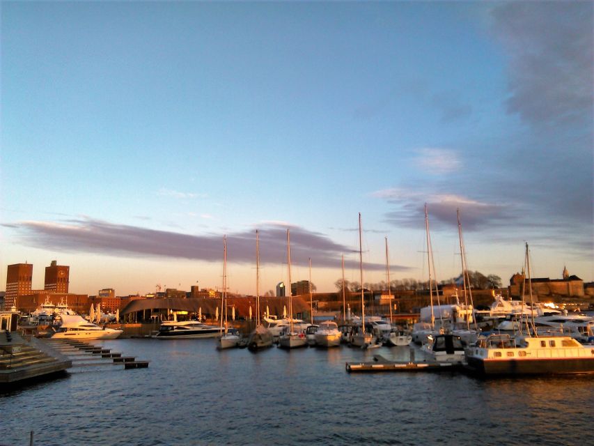 Oslo Nature Walks: Island Hopping Tour - Starting beside Oslo City Hall