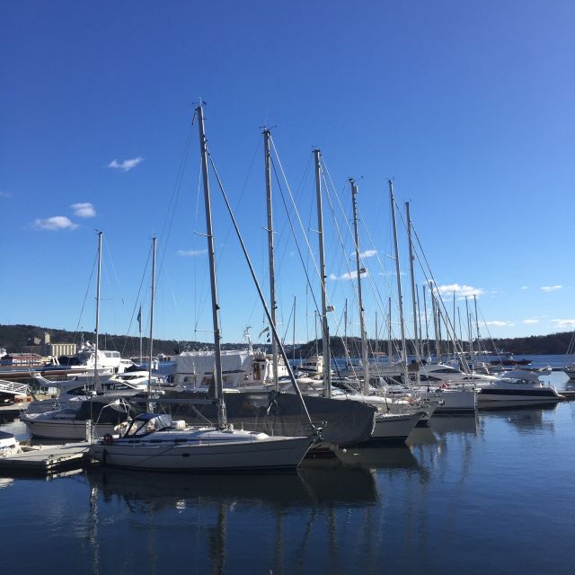 Oslo: Norwegian Explorers and Culture 3 Museum Tour - Fram Museum: stepping inside Norway’s polar age