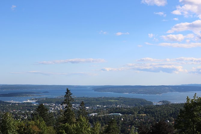 Oslo Panorama Tour with Holmenkollen Ski Jump and Vigeland Park - A practical way to see Oslo in half a day
