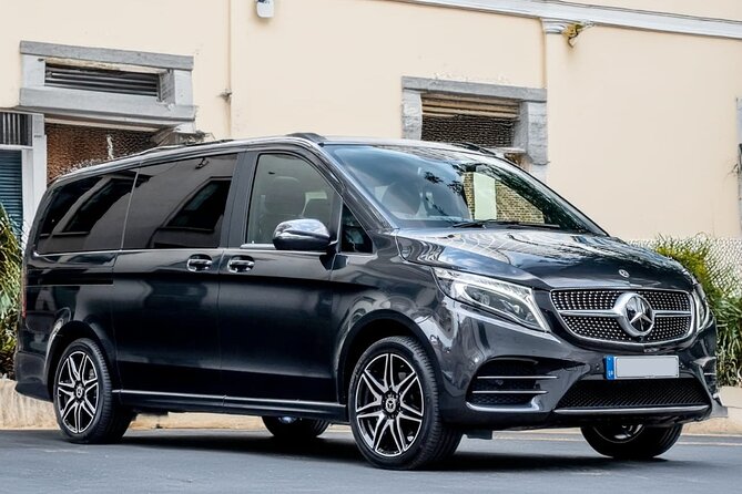 Oslo Private Transfer Between Gardermoen Airport and City - Booking details that can prevent trouble