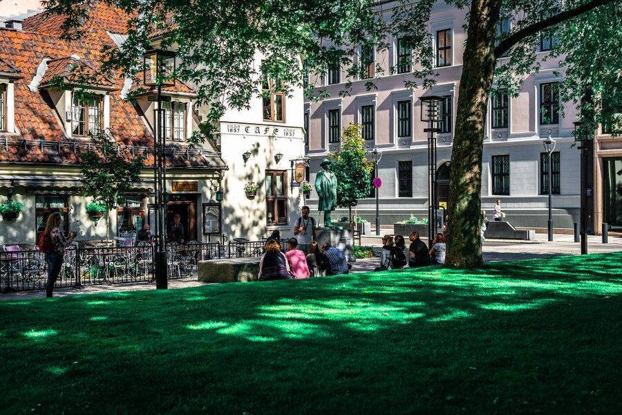 Oslo: Private Walking Tour - The Royal Palace and Parliament
