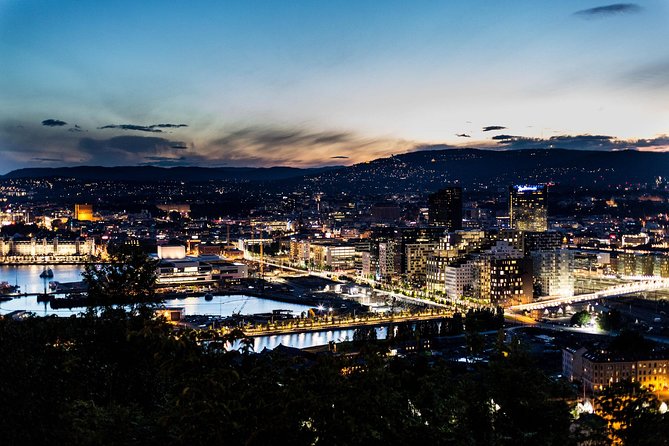 Oslo Private Walking Tour with a Local - Key points to know before booking