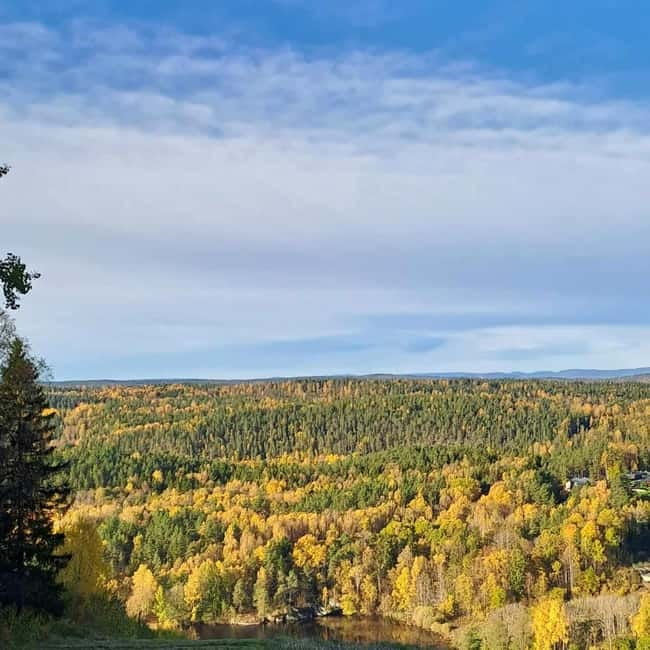 Oslo: Scenic Forest Hike with Dog & Local Guide - At a Glance: What Makes This Hike Special