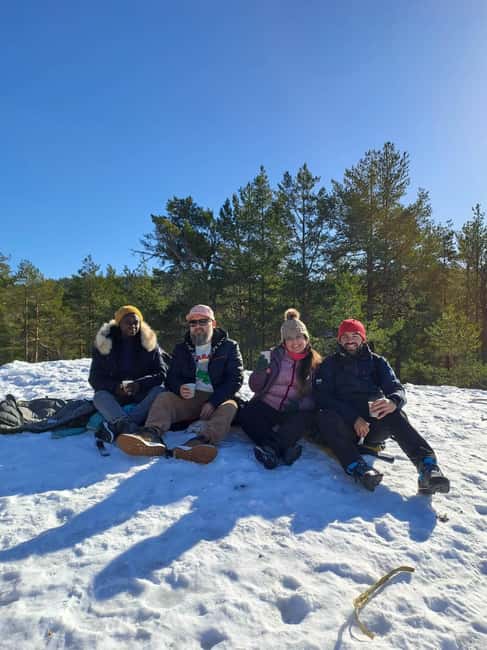 Oslo: Scenic Forest Hike with Dog & Local Guide - Why Kolbotn Is a Smart Starting Point