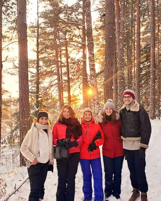 Oslo: Scenic Forest Hike with Dog & Local Guide - The Lake Stop and Norwegian Waffles