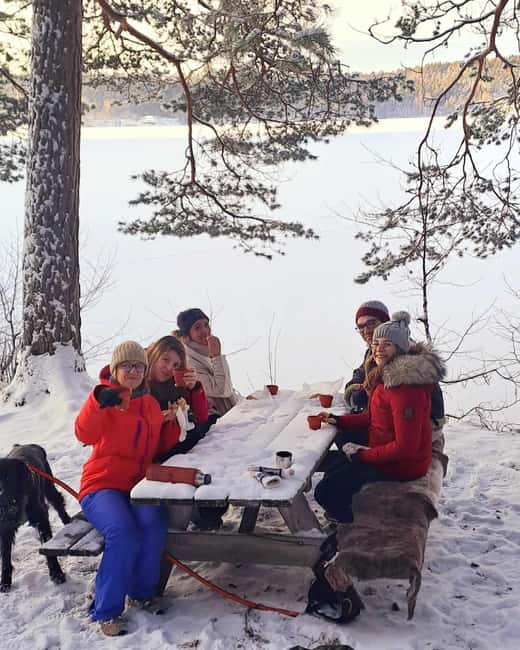 Oslo: Scenic Forest Hike with Dog & Local Guide - The First Climb to 153 Meters