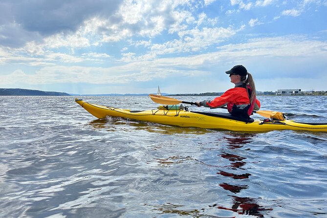 Oslo Sea Kayak Tour: Explore The Incredible Oslofjord - Astrup Fearnley, Tjuvholmen Bystrand, and modern Oslo