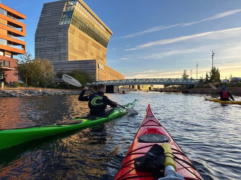 Oslo Sea Kayak Tour “Fjord City” - How the experience has been received