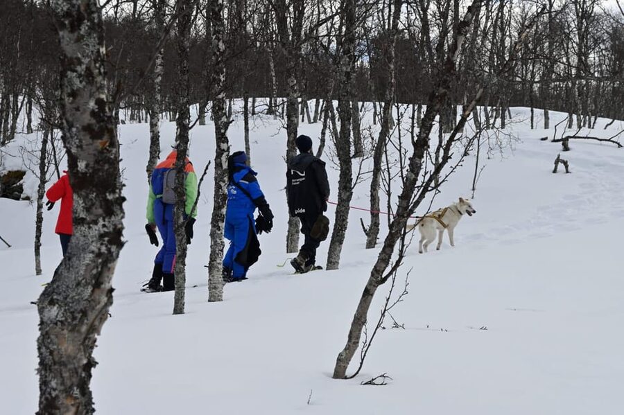 Oslo: Snowshoeing in the Forest with Norwegian BBQ - What happens when there is no snow