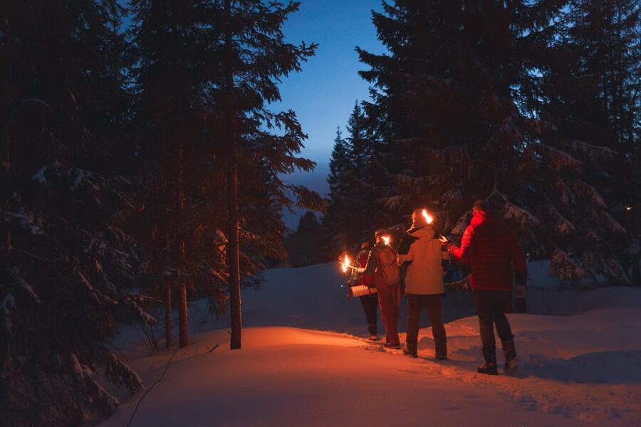 Oslo: Snowy Forest Torchlight Walk with Campfire - From Backstube Opera to Oslo’s winter woods