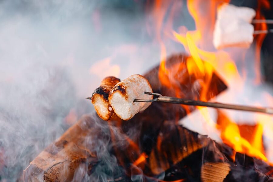 Oslo: Snowy Forest Torchlight Walk with Campfire - Is $93 a fair price?