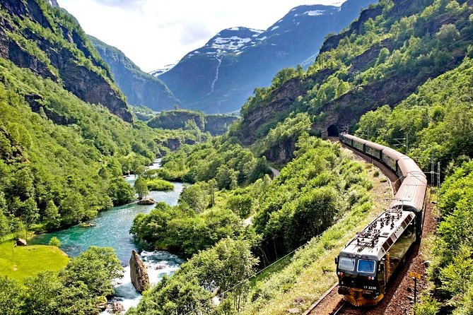 Oslo To Sognefjord Private Full Day Roundtrip Including Flam Railway - Why this private Oslo fjord tour exists