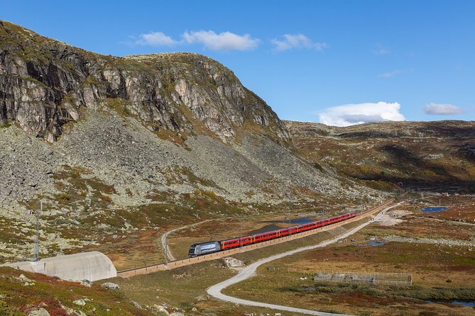 Oslo To Sognefjord Private Full Day Roundtrip Including Flam Railway - Flåm and the famous railway